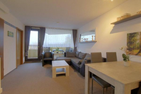 Apartment 411 Hohegeiß